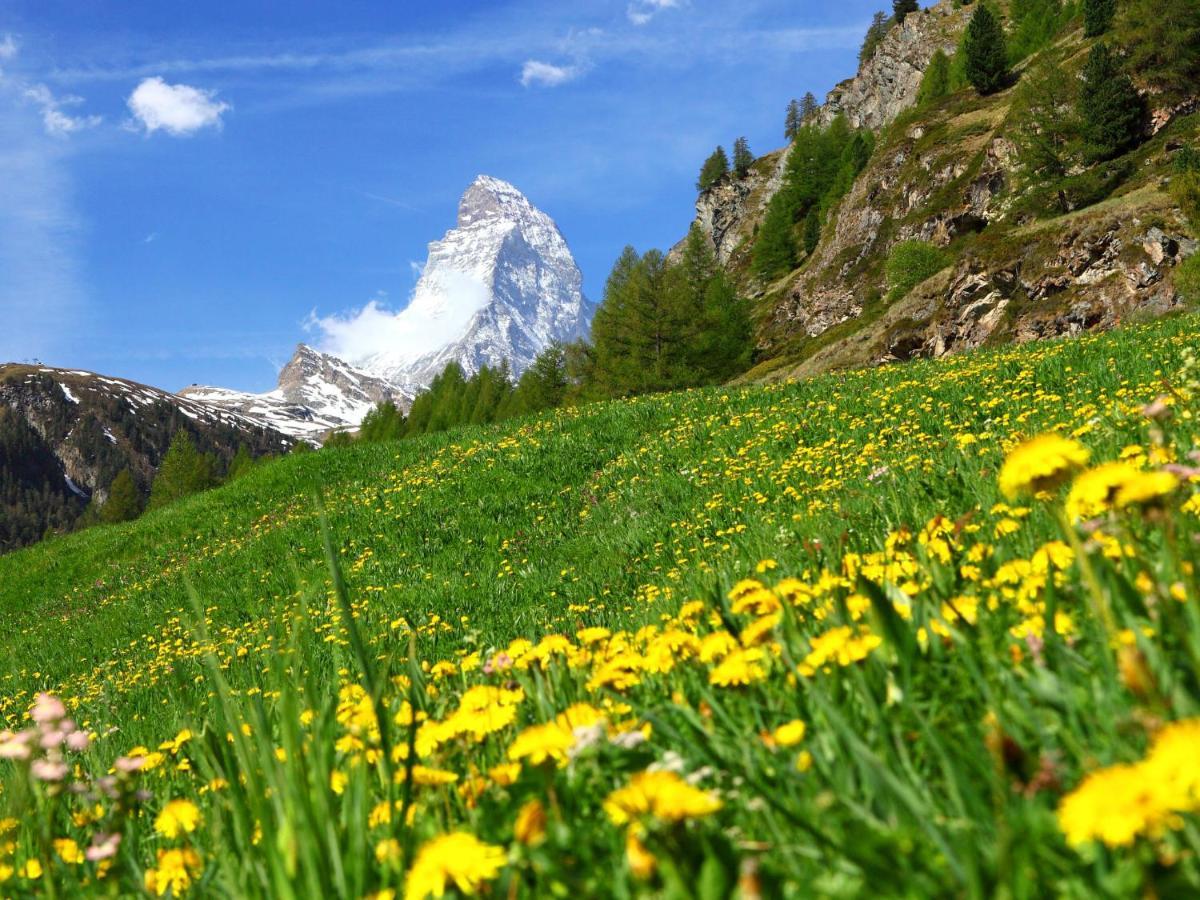 Apartment Bodmen A Zermatt Buitenkant foto